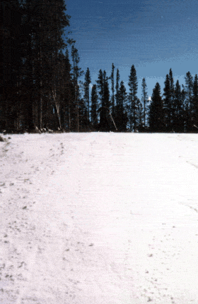 Entrainement pour les JO d'hiver